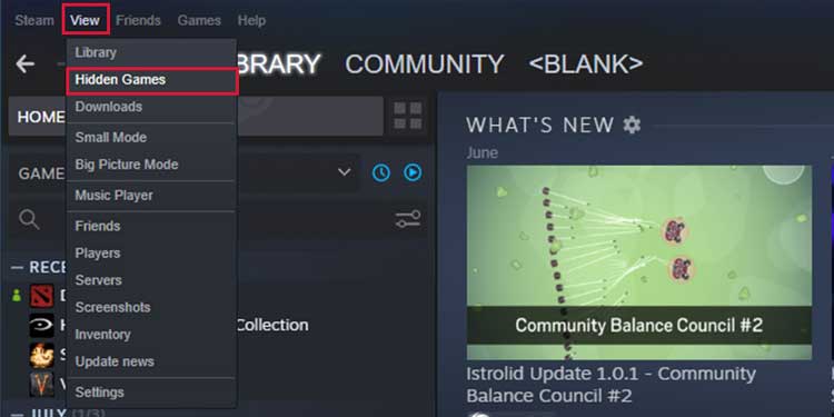 Steam - How To Hide Recent Game Activity & Hours 