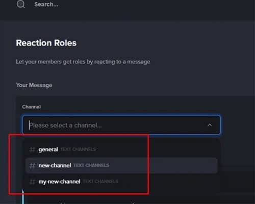 How To Make Reaction Roles On Discord - 59