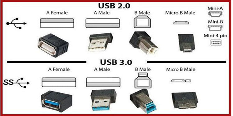 USB 2.0 vs 3.0: A Comparative Guide for Beginners 2023 - Anker US