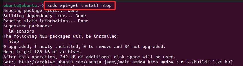 sudo install apt htop