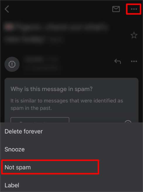 not-spam-option